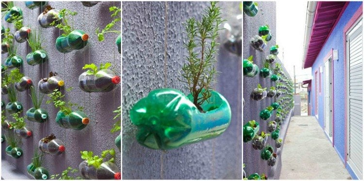 plastikflaschen-pflanzenwand-selber-machen