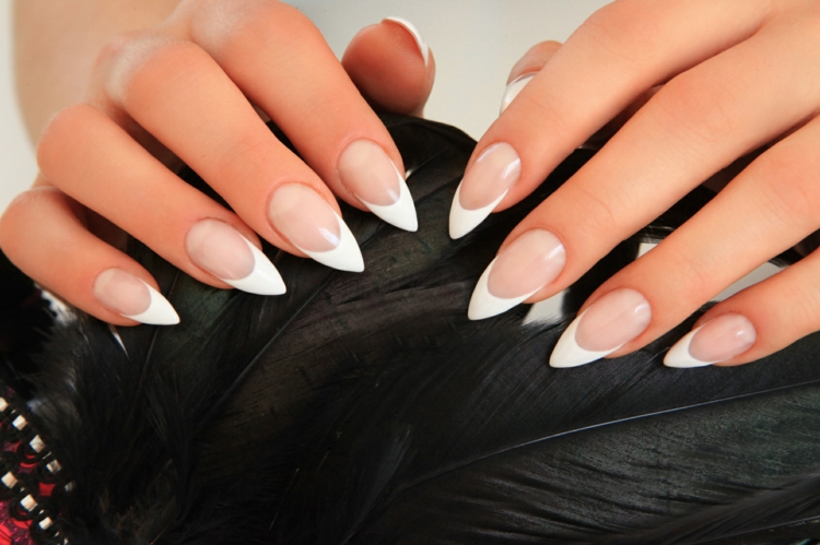 stiletto-nails-natürlich-french-spitze-weiß-kurz-spitz-unterlack-durchsichtig