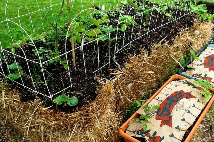 gärtnern auf strohballen blumenerde-pflanzen-beeteinfassung-stroh