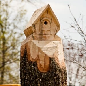 kettensägenkunst-holzskulptur-vogelhaus