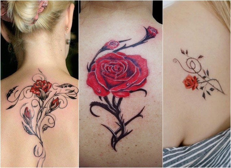 rosenranke-tattoo-rücken-schulter