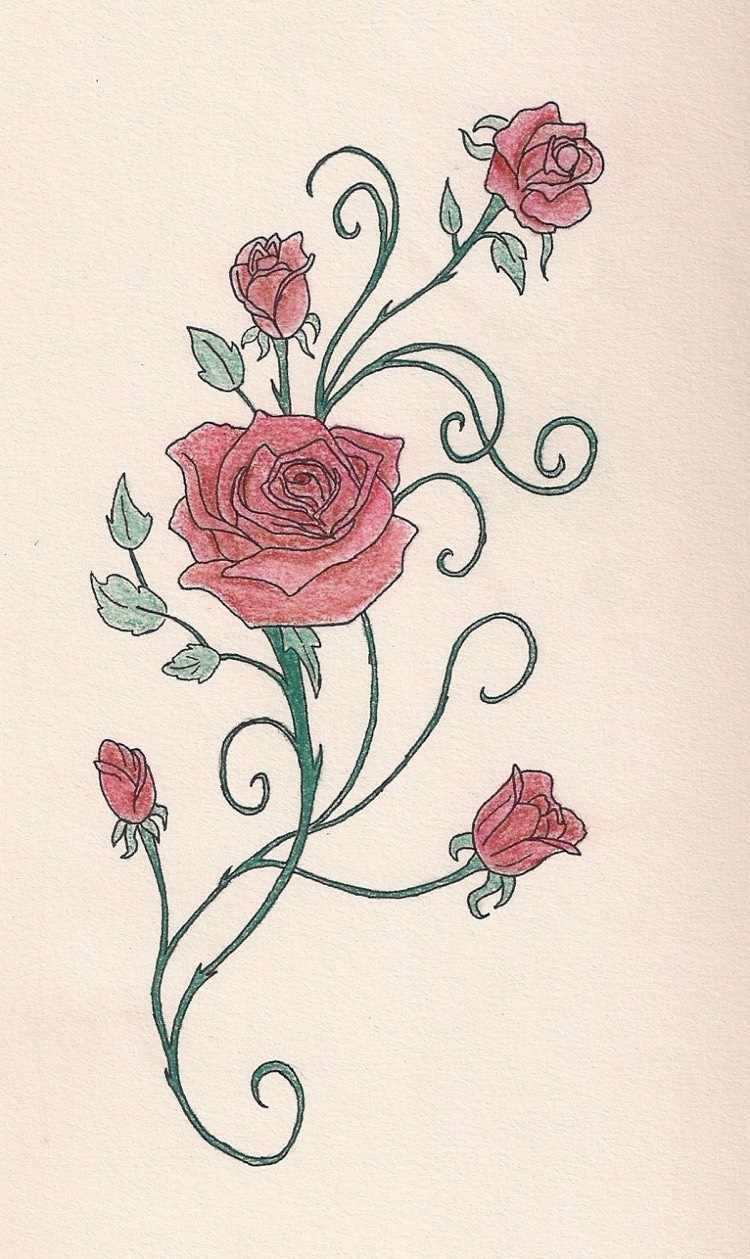 rosenranke-tattoo-vorlage-zeichnung