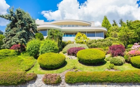 Vorgarten-anlegen-immergruene-Stauden-bepflanzen-Arten