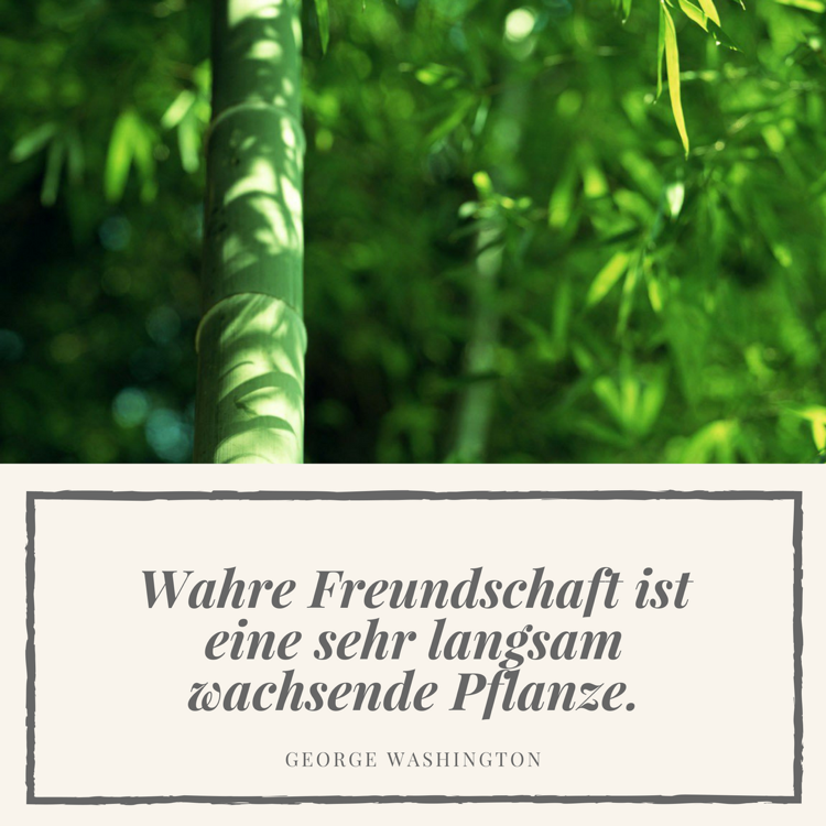 berühmte-zitate-freundschaft-george-washington