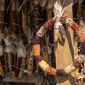 Herbstkranz basteln mit Maiskolben