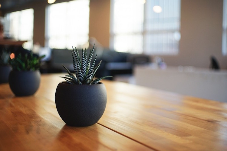 Pflanzkübel für innen -innen-zimmerpflanzen-minimalistisch-klein-modern