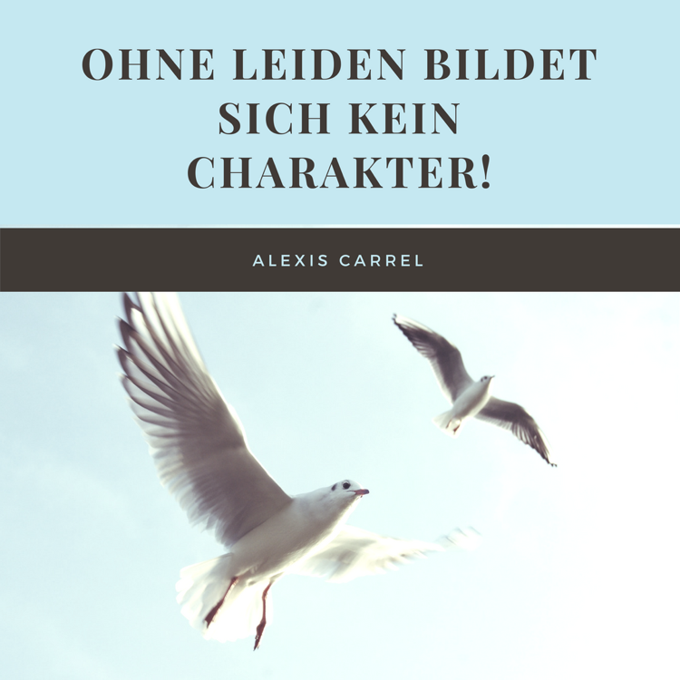 lebensmotto-sprüche-leiden-charakter-alexis-carrel