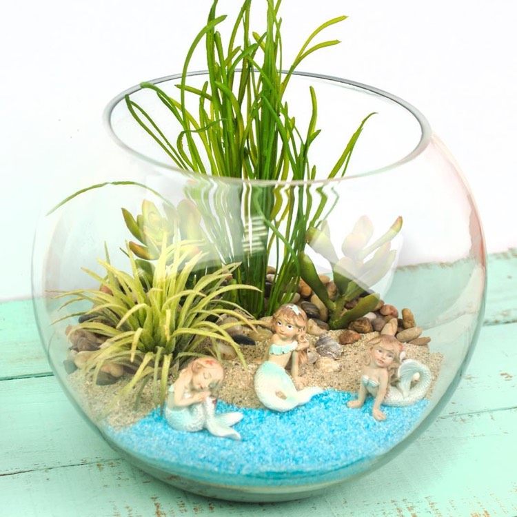 mini-garten-meerjungfrau-fischglas-pflanzen
