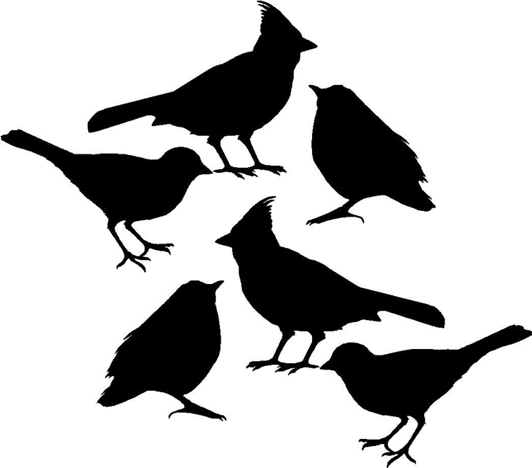 vogel-silhouette-fenster-glas-vogelsicher-vorlage-ausdrucken