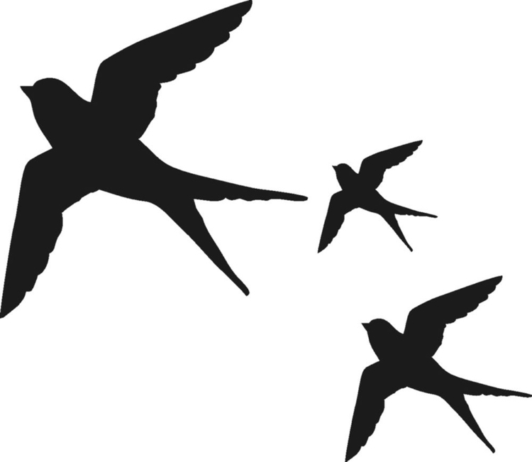 vogel-silhouette-fenster-glas-vogelsicher-vorlage-schwalbe