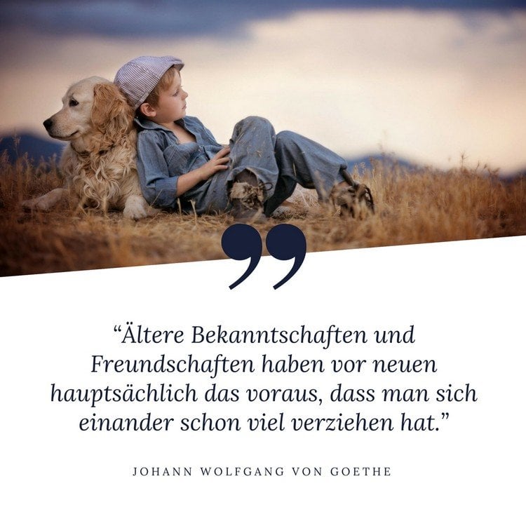 Zitate Goethe Freundschaft Alte Freunde Spruche Zitat  Zitate Uber Freundschaft Und Freundschaftsspruche Fur Beste Freunde