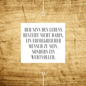 albert einstein zitate sinn-leben-erfolgreich-wertvoll-holz-wallpaper