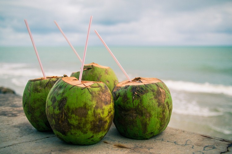 kokosnusswasser-grüne-kokosnüsse-trinkhalme