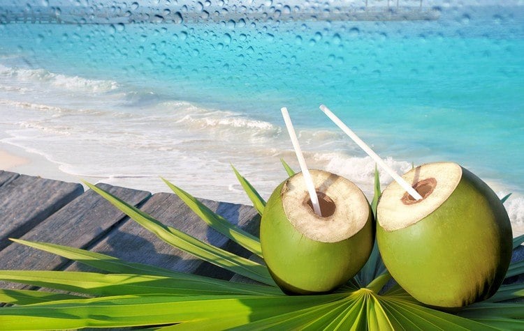Kokosnusswasser als Trendgetränk urlaub-unreife-kokosnüsse