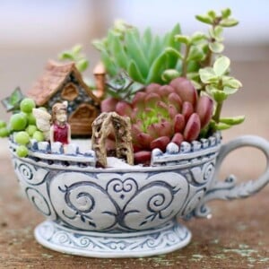 tassengärten selber basteln miniatur-sukkulent-garten-teetasse