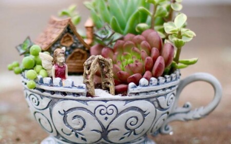 tassengärten selber basteln miniatur-sukkulent-garten-teetasse