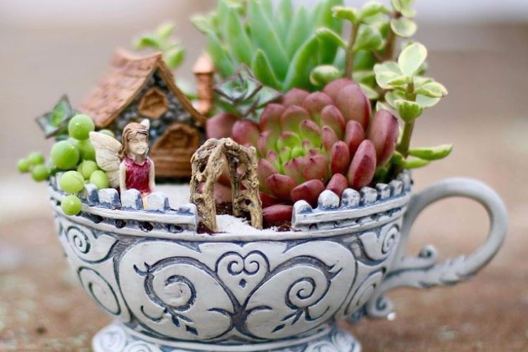 tassengärten selber basteln miniatur-sukkulent-garten-teetasse