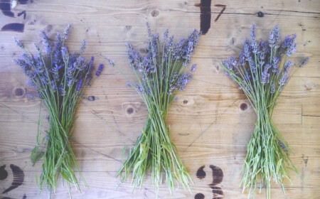 basteln-lavendel-diy-ideen-anleitung-selber-machen