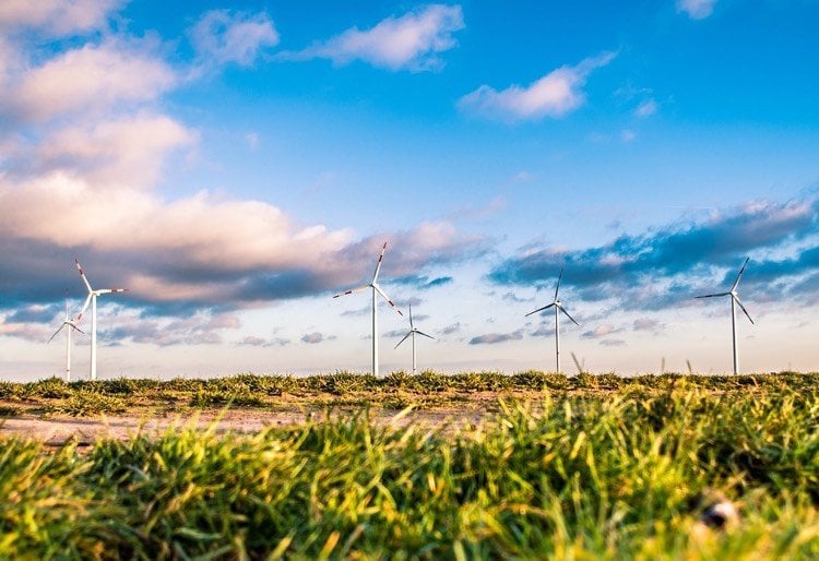 bioenergie-windkraft-umweltfreundlich-nachhaltig-zukunft