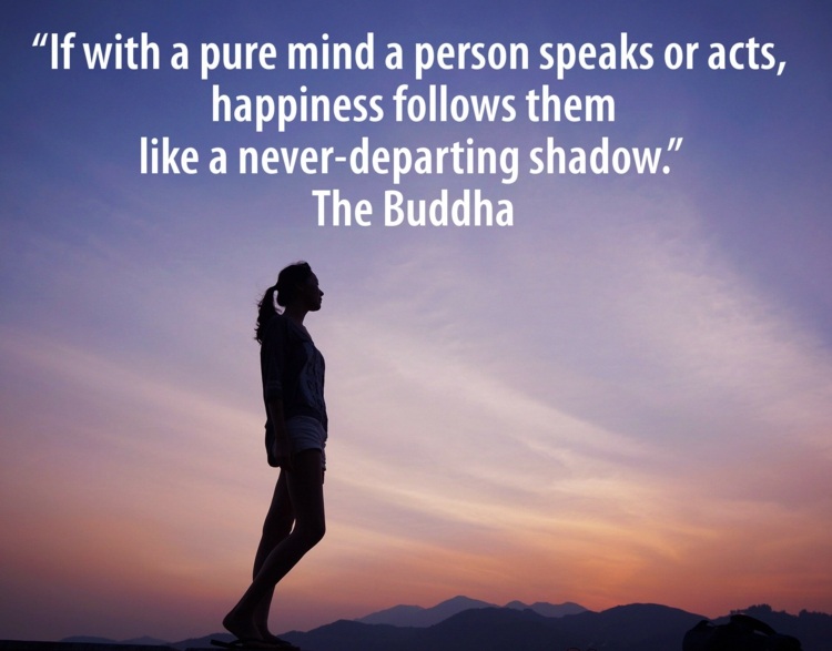Buddha Zitate Weisheiten Sprüche Für Verschiedene Lebenssituationen