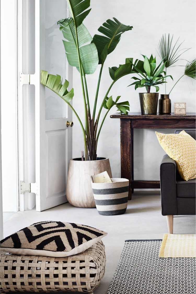 dekoration-wohnzimmer-ideen-zimmerpflanzen-ecke-bananenpflanze