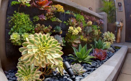 kakteen-sukkulenten-ideen-gartengestaltung-pflegeleicht-aloe-steingarten-vertikal