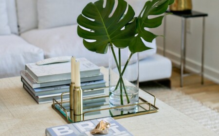 monstera blatt minimalistische-deko-idee-glas-vase