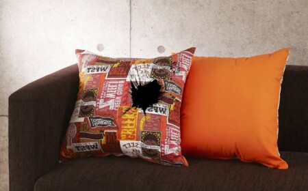 tintenflecken-entfernen-kissen-sofa-möbel-textilien