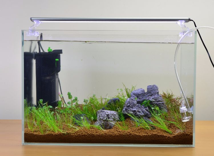 aquarium-einrichten-anleitung-beleuchtung-installieren