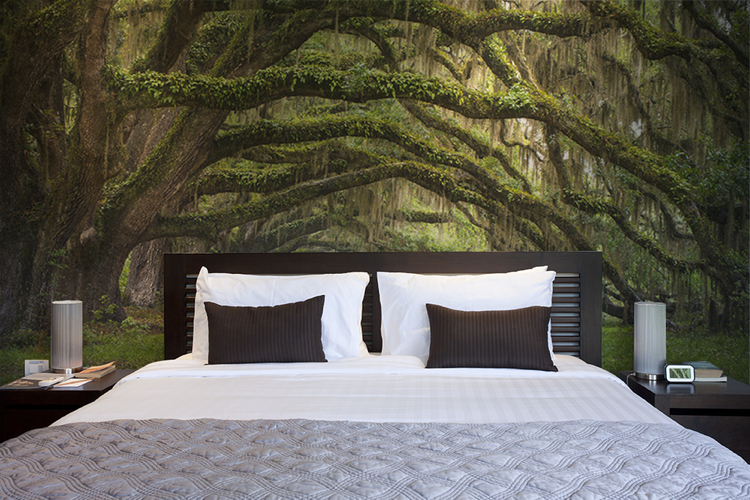 fototapete-wald-schlafzimmer-tropisch-modern-schwarze-möbel