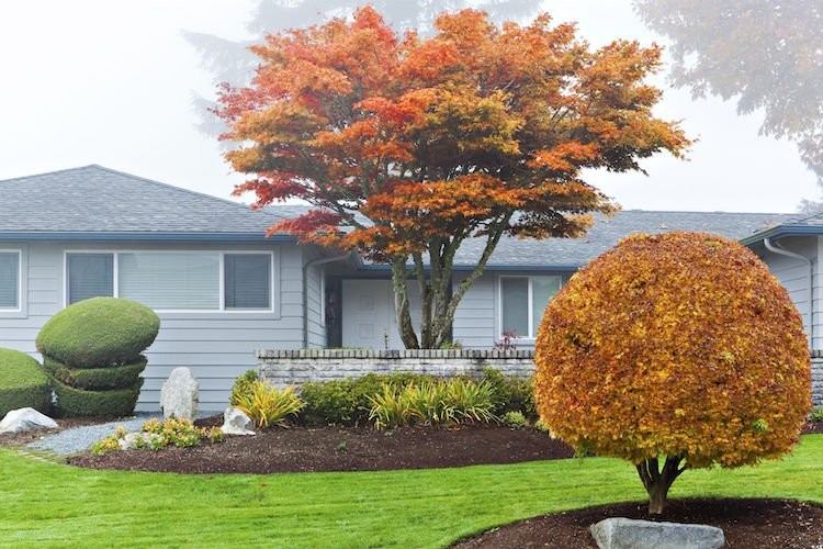Gartenarbeit im Herbst garten-herbstliche-farben-bäume