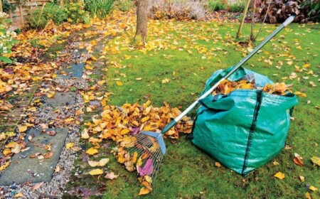 gartenarbeit-im-herbst-herbstlaub-rasen-sammeln