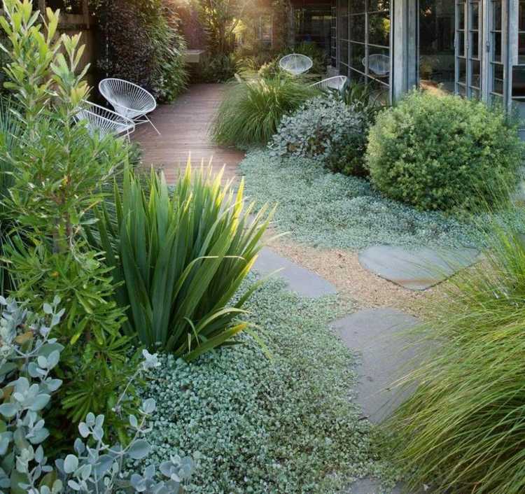 ideen-gartengestaltung-modern-bodendecker-grüne-gärten-silber-blätter
