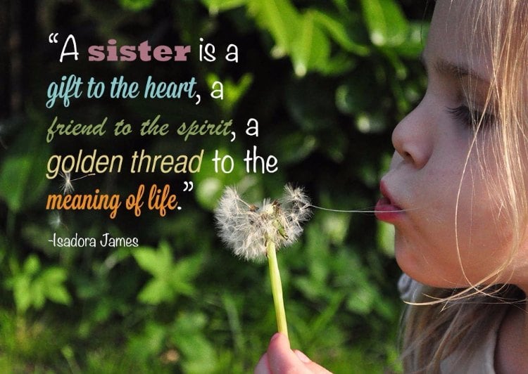 40 Schwester Sprüche Lustige Zitate Und Weisheiten über Geschwister