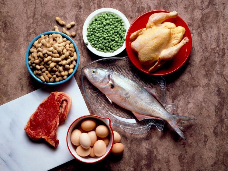 sixpack-ernährungsplan-eiweißreiche-lebensmittel-fisch-eier-nüsse-fleisch