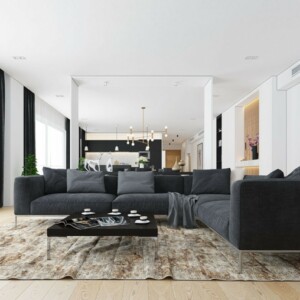 teppich-sofa-schwarz-grau
