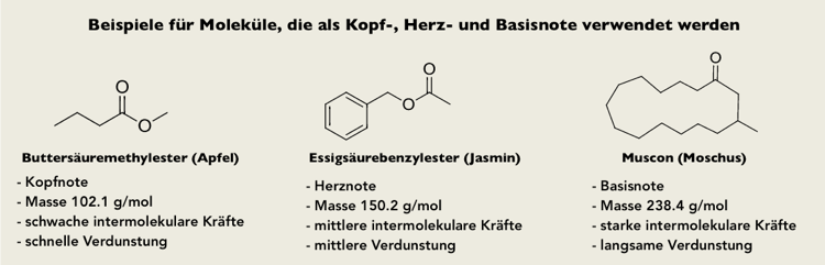 Chemie Duftstoffe Ester Parfüm Moleküle Beispiel