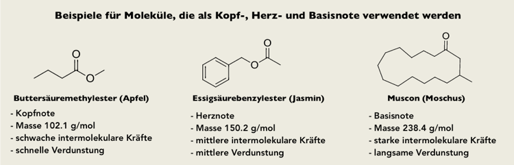Chemie Duftstoffe Ester Parfüm Moleküle Beispiel