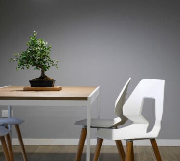 Esszimmer Designermöbel Weiß Holz Bonsai Pflanze Tisch