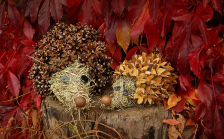 basteln mit Bucheckern Igel Zapfen Herbst Deko