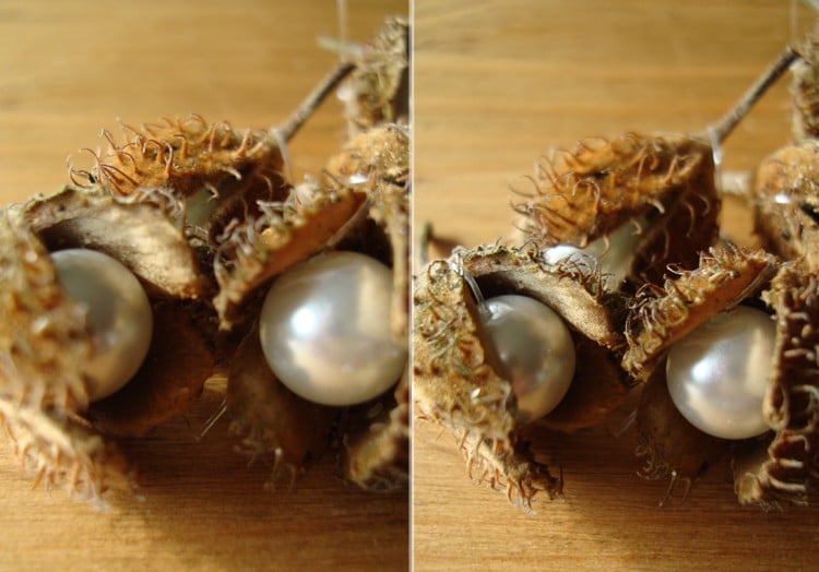 basteln mit Bucheckern weiße Perlen elegante Deko