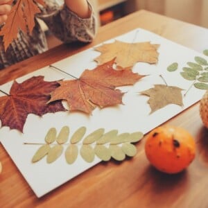 basteln mit grundschulkindern herbst laub collage naturmaterial