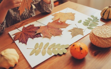 basteln mit grundschulkindern herbst laub collage naturmaterial