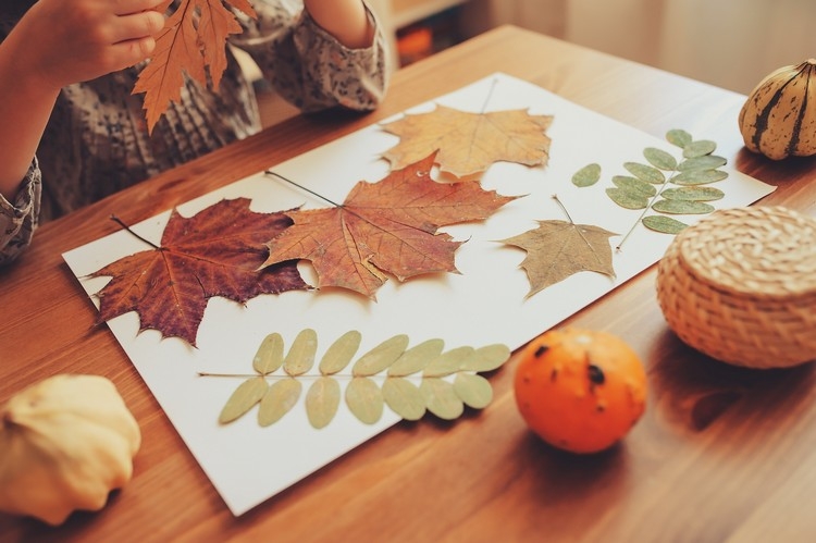 basteln mit grundschulkindern herbst laub collage naturmaterial