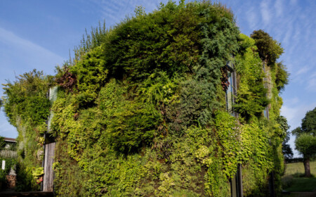 begrünte fassade naturgebunden wohnen modernes haus