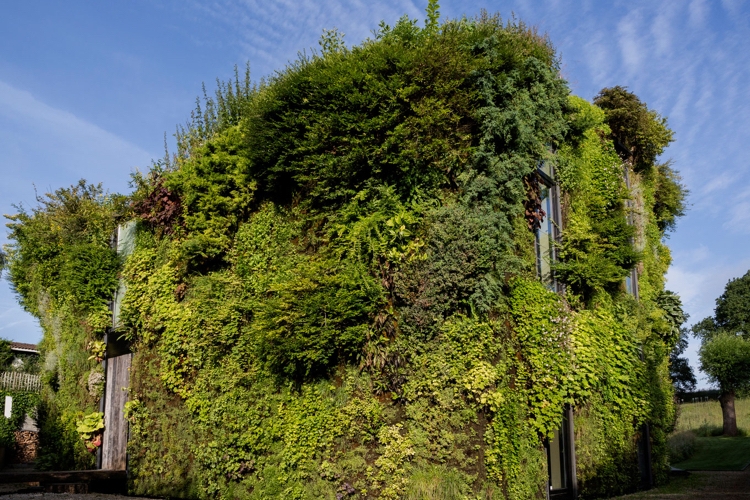 begrünte fassade naturgebunden wohnen modernes haus