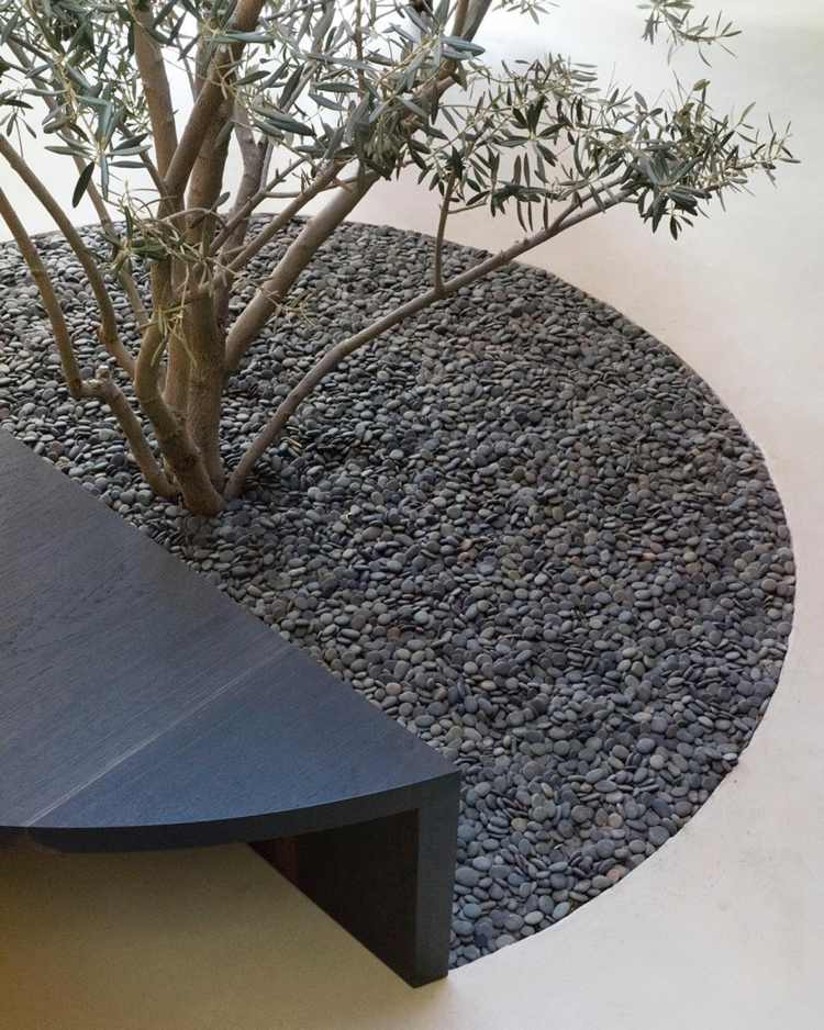 gartenideen kies olivenbaum beton sitzbank