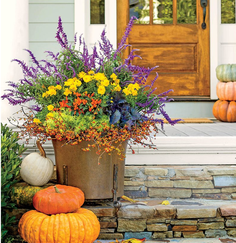 große Kübel bepflanzen Herbst Hauseingang Terrasse Treppen