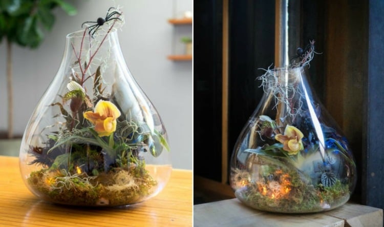 pflanzen terrarium halloween anleitung orchideen glas diy