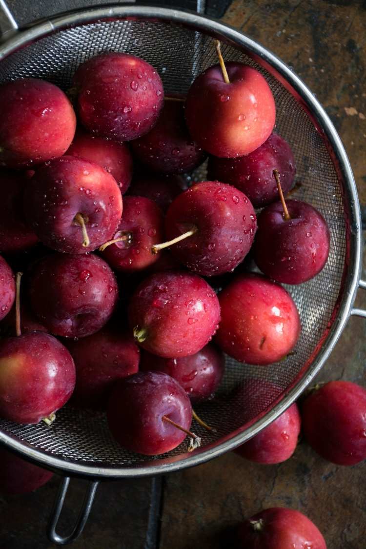 wildapfel essen nährstoffe vitamine rote farbe frucht harte schale